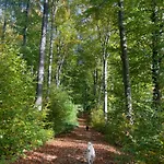 Casa Balcescu 3*