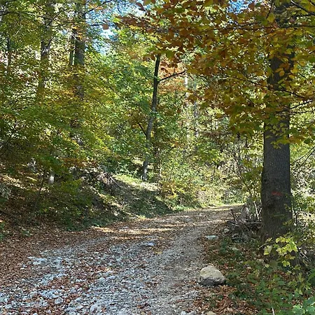 Casa Balcescu 3* ブラショフ