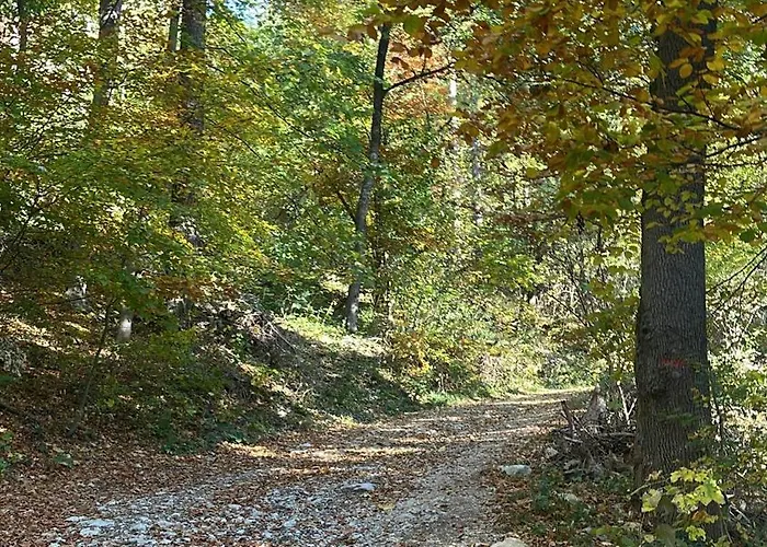 Casa Balcescu 3* Brassó