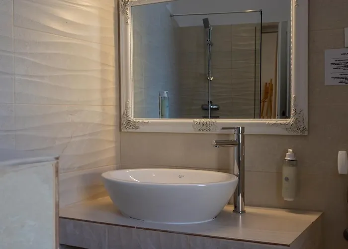 Casa Balcescu Guest house 3*